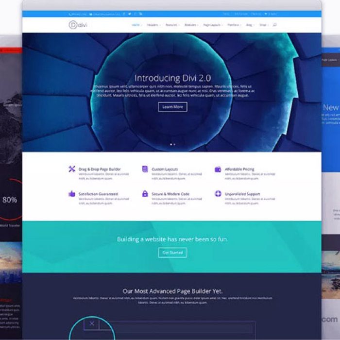 Elegant-Themes-Divi-WordPress-Theme